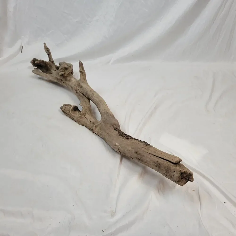 Ohio River Driftwood 44.5